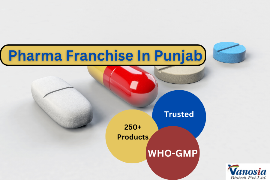 Pharma Franchise In Punjab